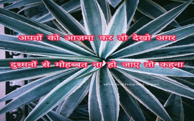 अपनों को आजमा कर तो देखो अगर दुश्मनों से मोहब्बत ना हो जाए तो कहना